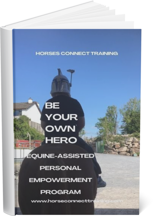 BE YOUR OWN HERO PROGRAM